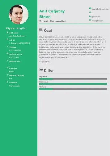 Ziraat Mühendisi Cv Örnekleri cv indir